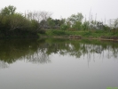 2_12394480514gwq
