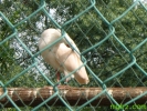 2_1259035596hajh
