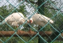 湖州德清下渚湖 20091101