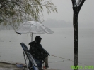 2_1261912618s9ju