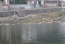 富阳龙门古镇 20110206