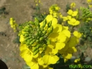 2_13012364386vp0