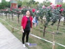 IMG_20161016_140123