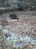 IMG_20171212_151212